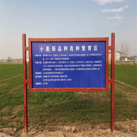 小麥新品種繁育區
