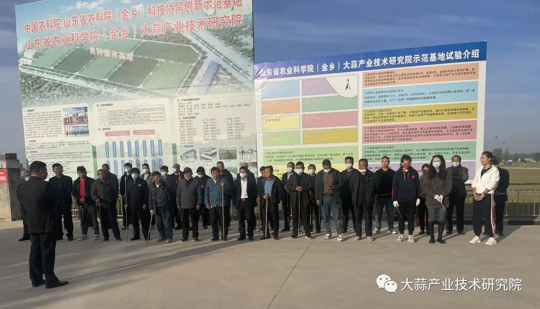 科研促進生產，實踐檢驗真理--京信合作社員工參與大蒜產研院試驗課題實施