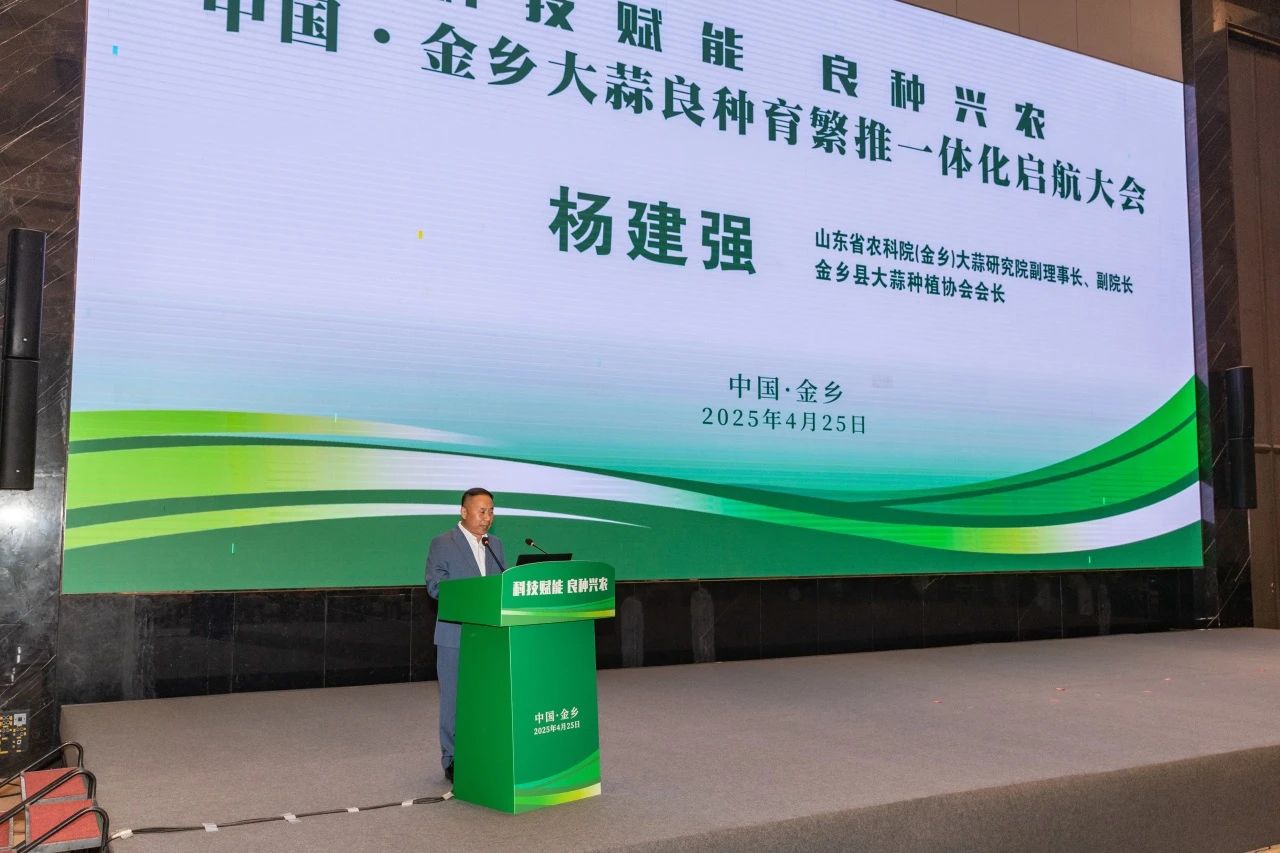 中國·金鄉大蒜良種育繁推一體化啟航大會圓滿召開 | 科技賦能助力產業升級